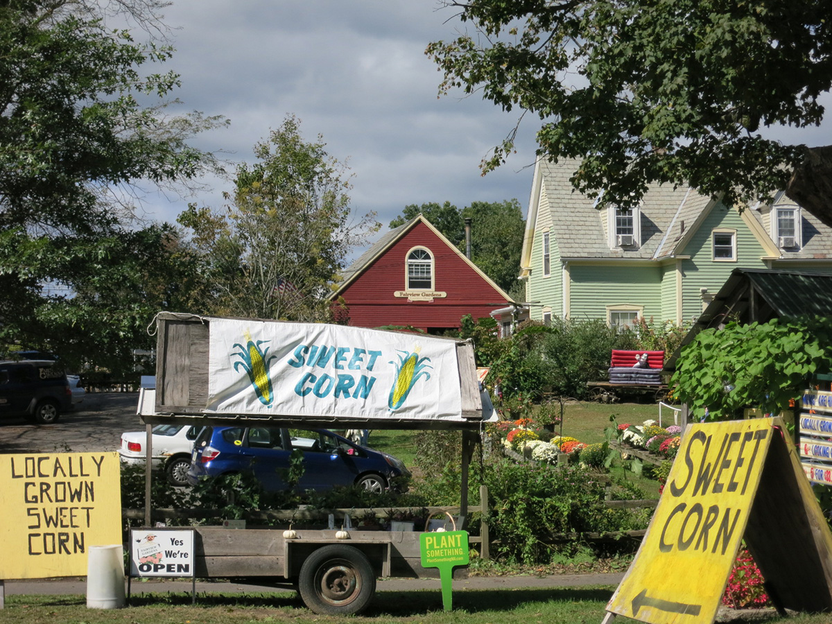 Northfield 1 farm market