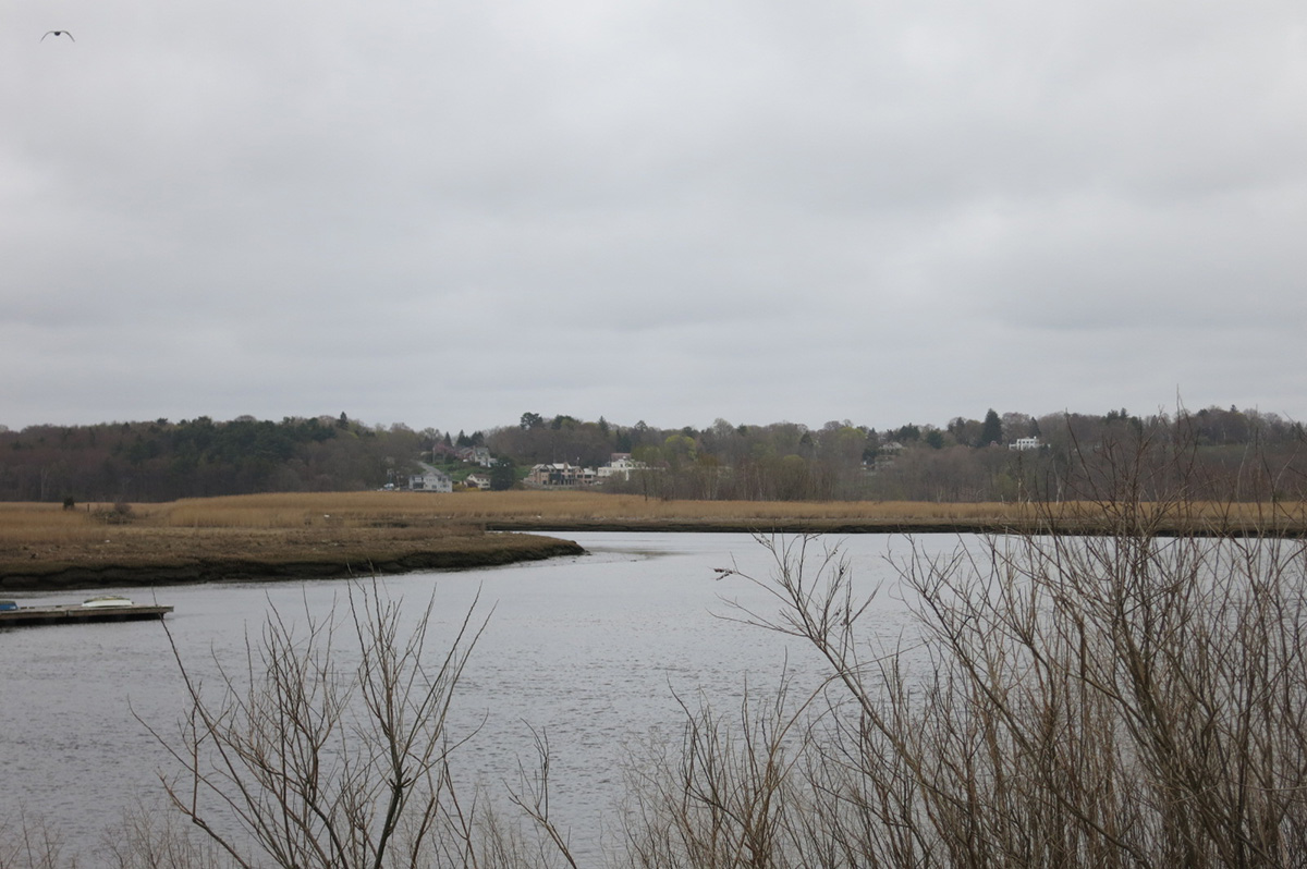 Milton 1 neponset estuary