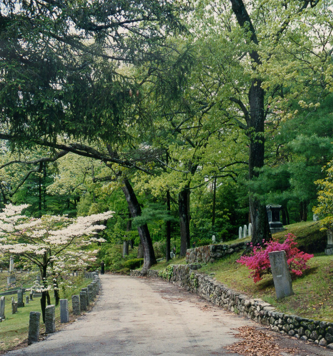 Sleepy hollow %281%29